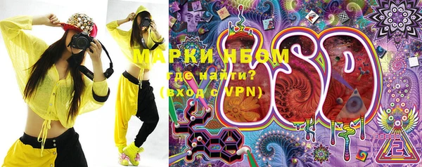 индика Алексин