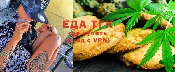индика Алексин