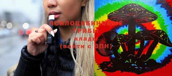 PSILOCYBIN Абдулино