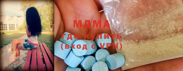 индика Алексин