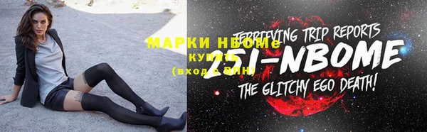 индика Алексин
