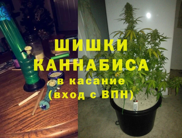 индика Алексин