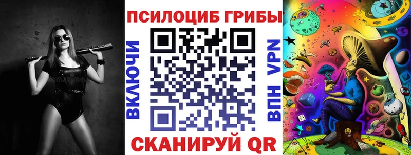 дарнет шоп  Туринск  Псилоцибиновые грибы мицелий 